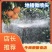 【喷头推荐】地插微喷喷雾头可调大小微喷头涌泉式地插微喷