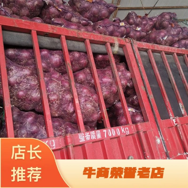 金乡县红皮洋葱电商出口优选，代收，代加工，代发货，一条龙