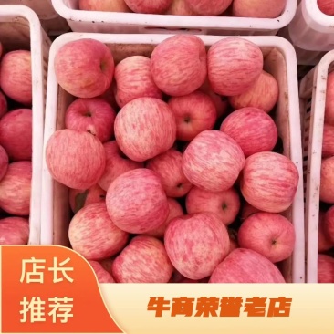 山东红富士苹果，纯甜全红，条红，出口加工厂果，代发批发。