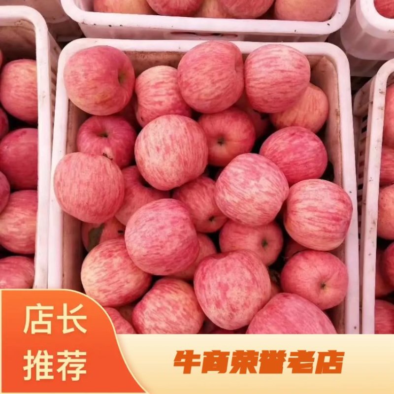 山东红富士苹果，纯甜全红，条红，出口加工厂果，代发批发。