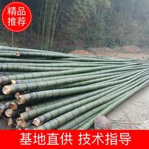 长期大量供应各种尺寸的楠竹、楠竹片、欢迎订购订做。