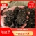 河南南阳地皮菜精心筛选无杂货产地直发欢迎致电