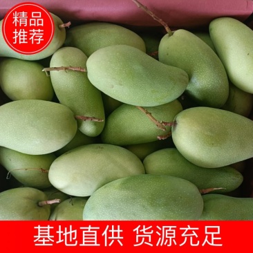 海南水仙芒精品果单果五两以上，到一斤八两