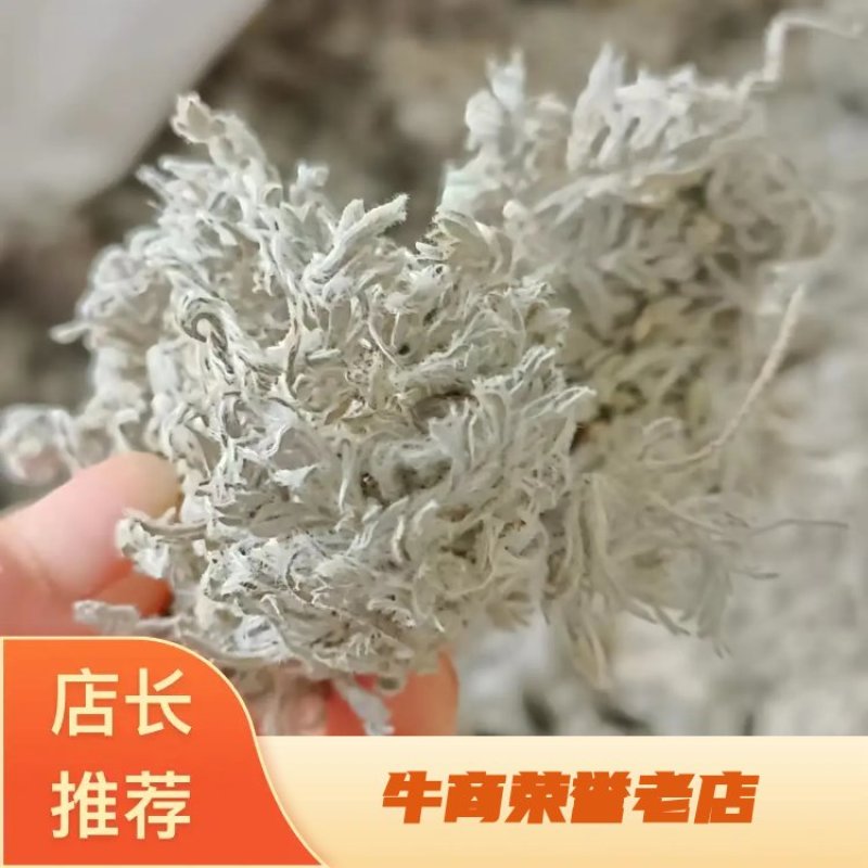 绵茵陈，产地河南，、货源充足，全国发货，持在线下单支。