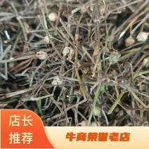 白花蛇草，吸尘无杂质，今年新货，一手货源，全国发货。