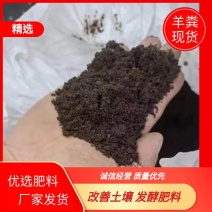 山东精品有机羊粪厂家直发品质保证一手货源量大从优