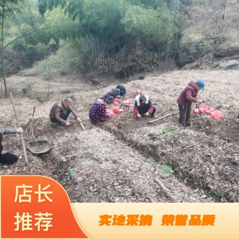 黔里山人富硒黄精多花黄精多花姜型黄精黄精多糖含量超高