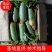 精品水果萝卜山东基地直发量大价格好品质保障欢迎实地考