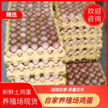 (农二土鸡蛋自家养殖厂大量有现货，量大从优品质保证