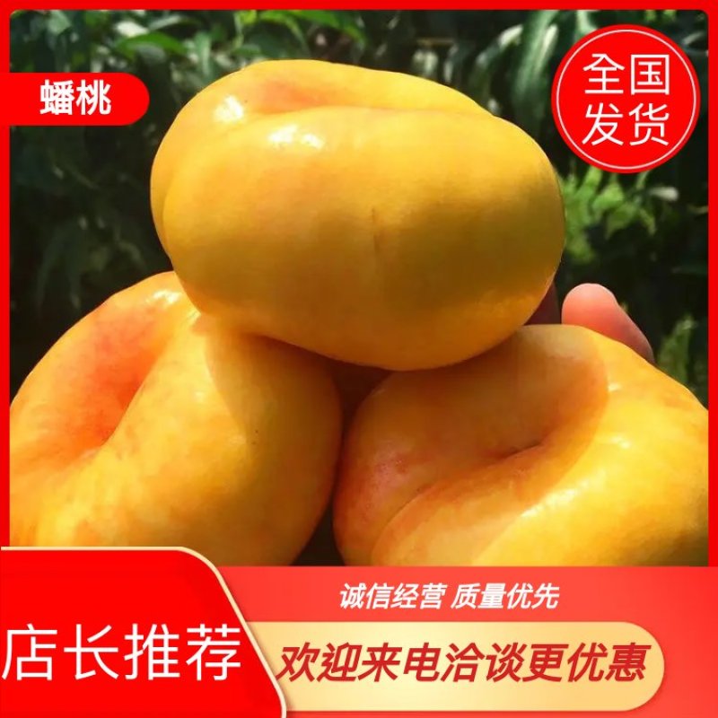 潍坊油潘九大量上市，一手货源产地直发常年供应实力代办