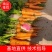 市场胡萝卜，水洗，土货，都可以做，欢迎新老客户实地看货，