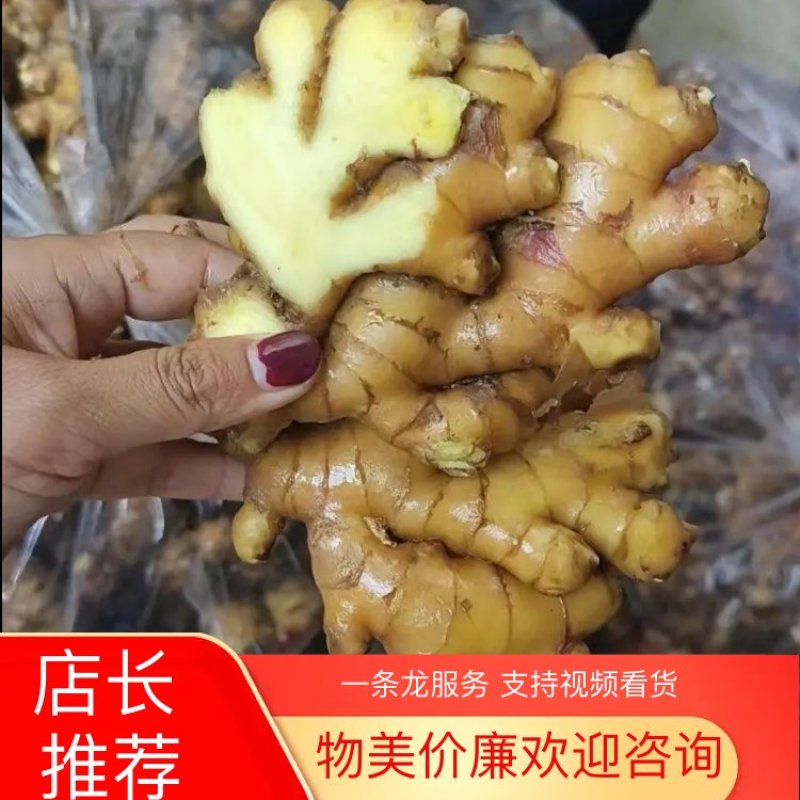 2023新姜大量现货供应中，小黄姜，大黄姜，二黄姜，白姜