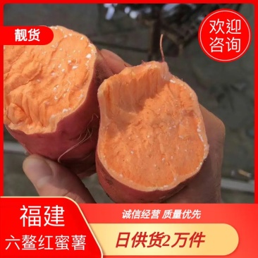 落地配社区团购日供货20000单六鳌蜜薯产地一手货源