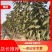 【包技术指导】2--9公分樱桃树，品种齐全，产量高，易存活