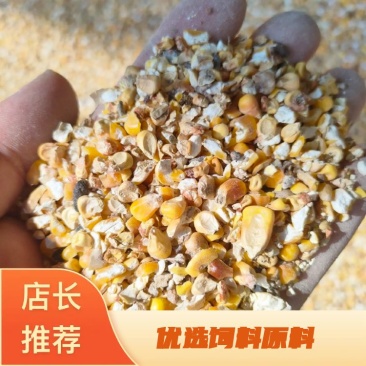 碎玉米，适合鸡鸭鹅牛羊猪养殖使用，降低养殖成本，
