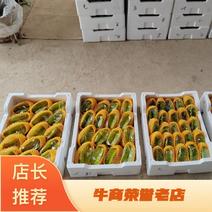 潮汕精品甜杨桃原产地直发货源充足稳定新品上市！