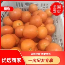 【优选商家】精品纽荷尔脐橙产地直发大量上市可视频