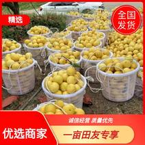 【优选商家】福建爆汁葡萄柚产地直发物美价廉可视频