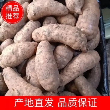 我是天麻产区的，有喜欢天麻的老板欢迎大家前来选购