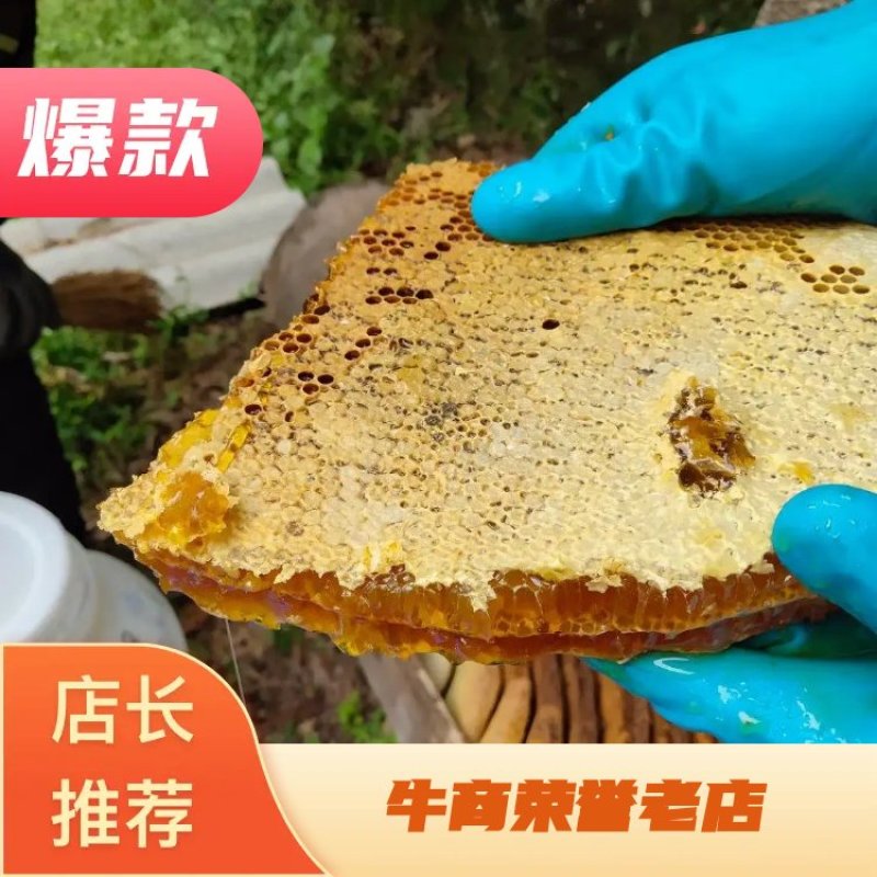 正宗土蜂蜜一年只取一次的好蜜，自产自销，欢迎大家前来咨询