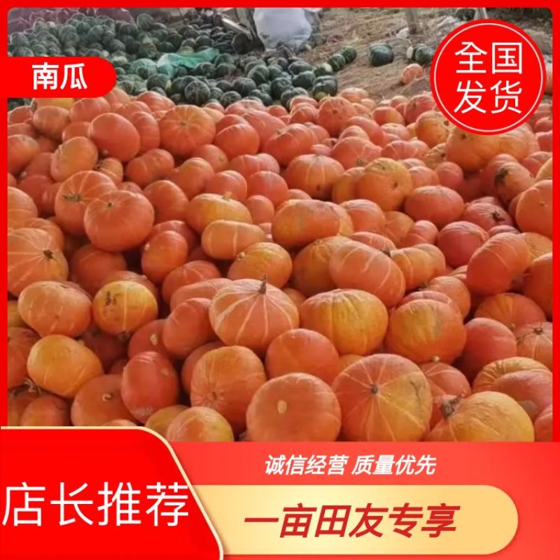 红南瓜绿南瓜灰南瓜个种南瓜大量上市欢迎新老客户