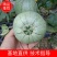 山东绿宝石甜瓜绿宝甜瓜大产地，日供20万斤，对接商超团购