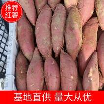 《推荐》红薯西瓜红蜜薯大量上市，香甜软糯产地直发全国发货