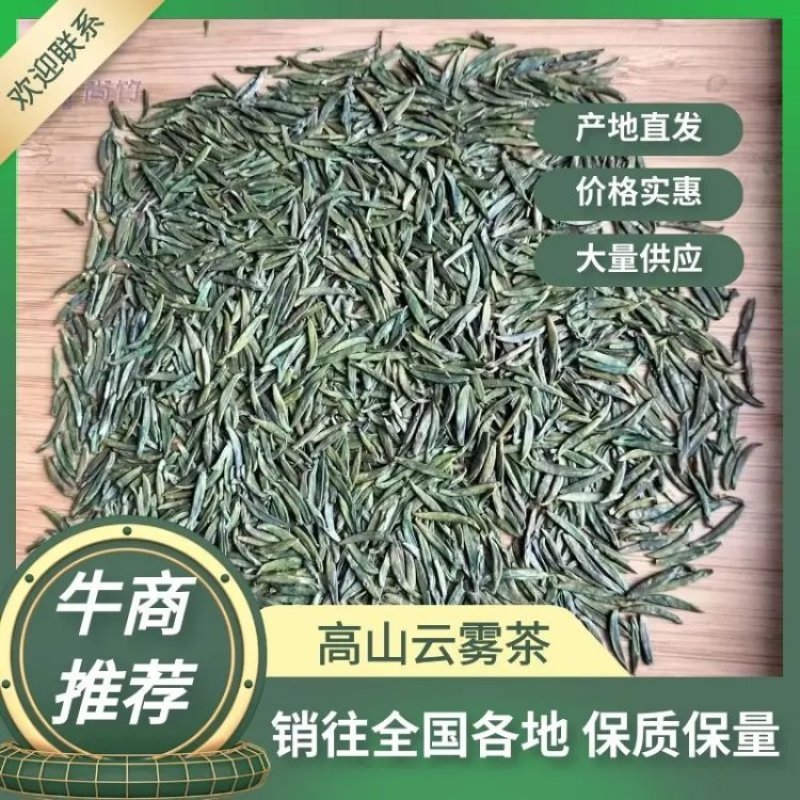 高山云雾绿茶茶园直供品质保证口感好欢迎咨询下单