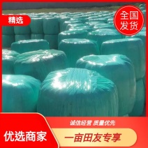 【优选商家】供应玉米全储，青储玉米，质量保证,可视频看货
