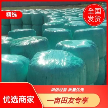 【优选商家】供应玉米全储，青储玉米，质量保证,可视频看货