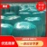 【优选商家】供应玉米全储，青储玉米，质量保证,可视频看货