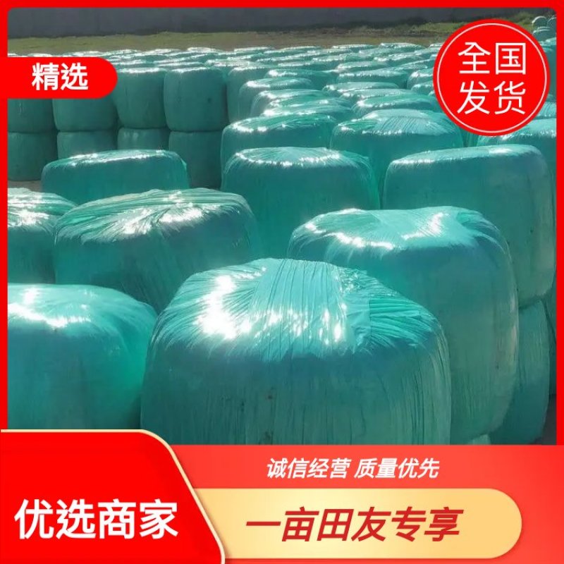 【优选商家】供应玉米全储，青储玉米，质量保证,可视频看货