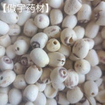 【傲宇药材】莲子磨皮莲子去芯莲子白莲子