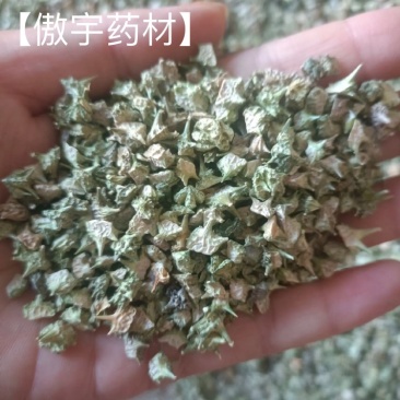 【傲宇药材】白吉利蒺藜内蒙笛颜色青货干净