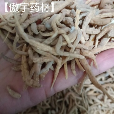 【傲宇药材】太子参孩子参，货好质优价低，