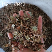 【傲宇药材】金钱草小叶量大从优