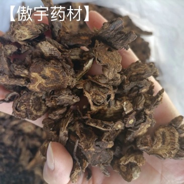 【傲宇药材】羌活小选货量大从优，品质保证