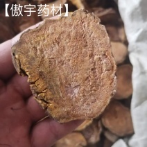 【傲宇药材】大黄马蹄黄量大从优