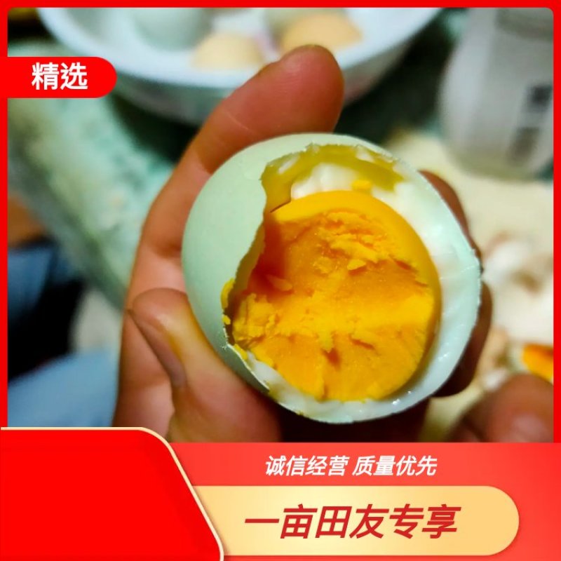 480枚绿壳鸡蛋绿壳乌鸡蛋绿壳草鸡蛋鸡场直供新鲜