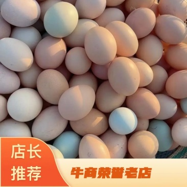 大量批发草鸡蛋初生蛋土鸡蛋笨鸡蛋开产蛋开窝蛋小蛋