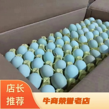 480枚绿壳鸡蛋绿壳乌鸡蛋绿壳草鸡蛋鸡场直供包新鲜