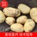 牡丹江精品土豆尤金885荷兰土豆产地直销欢迎电联
