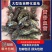 黄骨鱼苗/黄辣丁/全雄黄颡鱼/生长快，抗病强