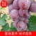 河北广宗巨峰葡萄，沙地葡萄，颜色好，颗粒大，无烂粒……