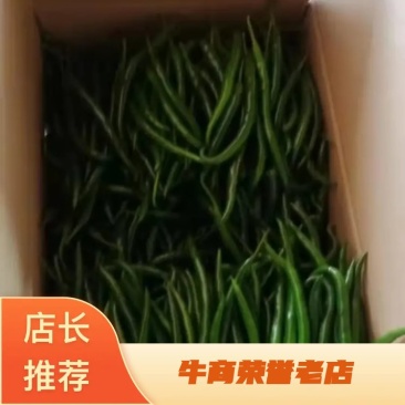 湛江鲜辣椒产地货源3号线辣椒诚信经营全国发货