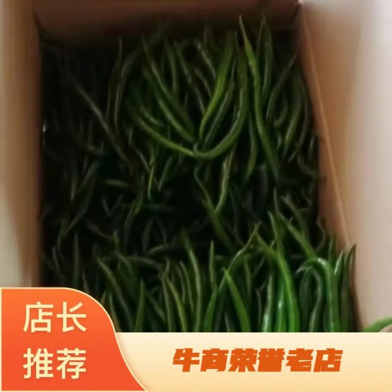 湛江鲜辣椒产地货源3号线辣椒诚信经营全国发货