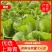 【产地直供】【上海青】新鲜油菜对商超电商批发量大从优
