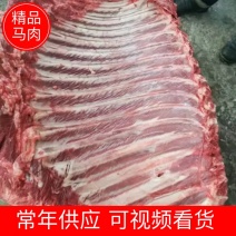 【马肉】精修马楠，带皮马楠，马楠，腩肉全国发货