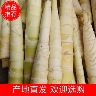 水煮苦笋可以真空包装