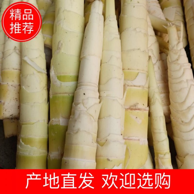 水煮苦笋可以真空包装